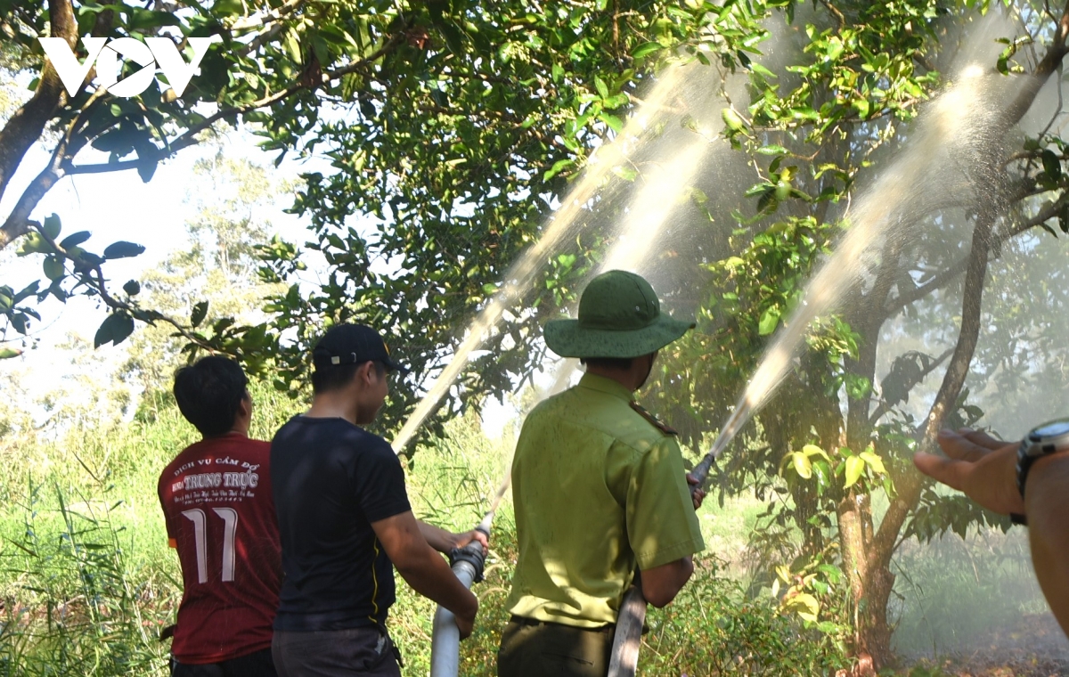 nhiều diện tích rừng báo cháy nguy hiểm tại cà mau hình ảnh 2 nhieu dien tich rung bao chay nguy hiem tai ca mau hinh anh 2