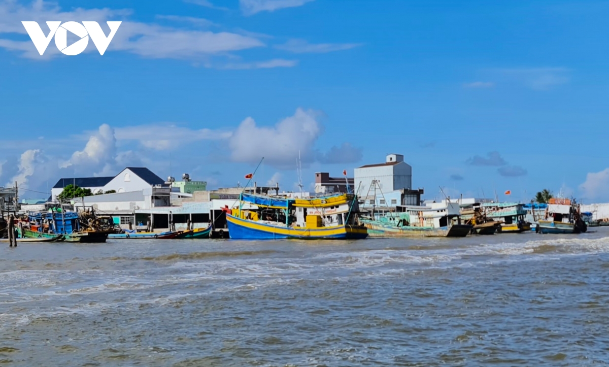 cà mau thu hay không thu tiền cước thiết bị giám sát tàu cá hình ảnh 2 ca mau thu hay khong thu tien cuoc thiet bi giam sat tau ca hinh anh 2