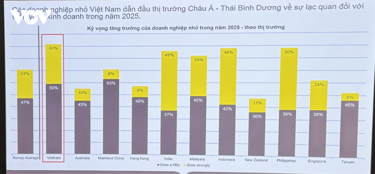 nhieu tin hieu tich cuc ve doanh nghiep nho viet nam trong khao sat cua cpa australia hinh anh 2