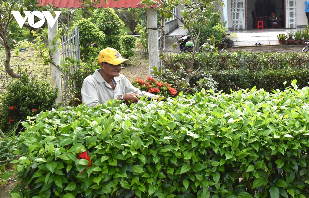 người thương binh 76 tuổi luôn nhớ lời bác dặn lao động là vinh quang hình ảnh 2 nguoi thuong binh 76 tuoi luon nho loi bac dan lao dong la vinh quang hinh anh 2