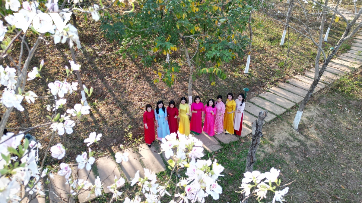 hoa ban khoe sac khap nui rung son la hinh anh 6