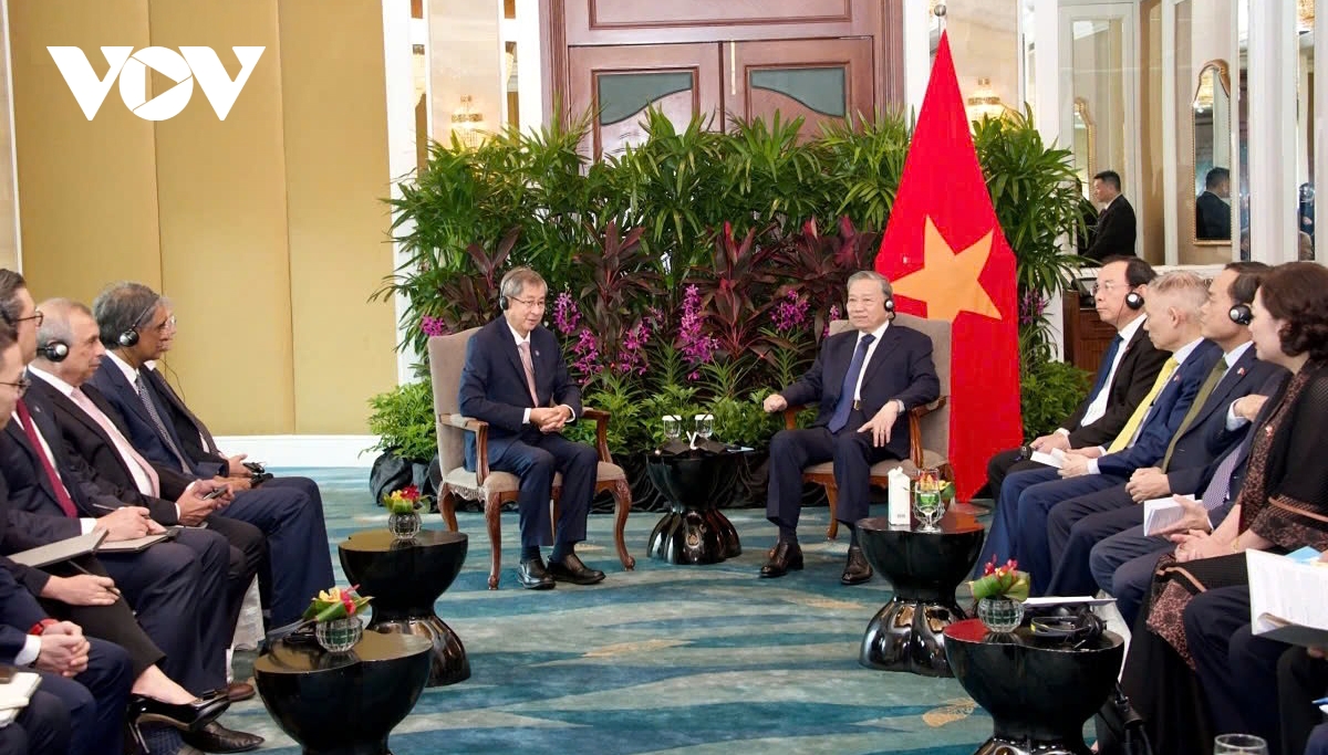 party leader to lam supports vietnam singapore increased business cooperation picture 2