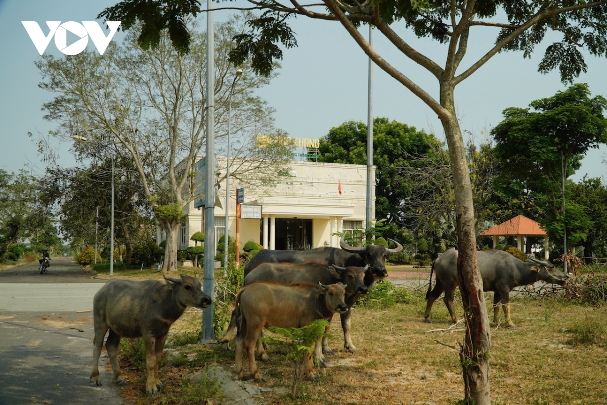 Cơn "sốt đất" đã lan đến Nhơn Trạch, Đồng Nai?