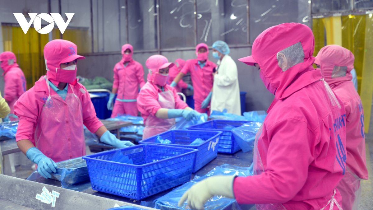 DN Việt chủ động ứng phó với những chính sách mới từ các thị trường xuất khẩu