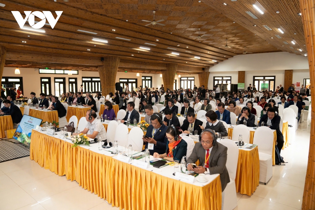 quảng nam phát triển cung đường du lịch hội an - mỹ sơn - cổng trời Đông giang hình ảnh 3 quang nam phat trien cung duong du lich hoi an - my son - cong troi Dong giang hinh anh 3
