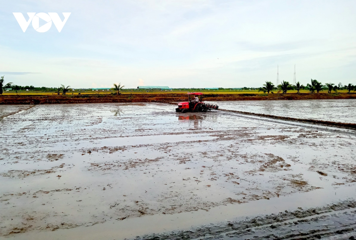 công trình kiểm soát mặn phát huy vai trò hỗ trợ sản xuất hình ảnh 4 cong trinh kiem soat man phat huy vai tro ho tro san xuat hinh anh 4