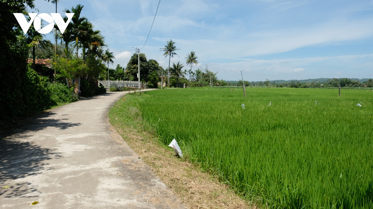 làm du lịch cộng đồng lan tỏa ước vọng hòa bình hình ảnh 2 lam du lich cong dong lan toa uoc vong hoa binh hinh anh 2