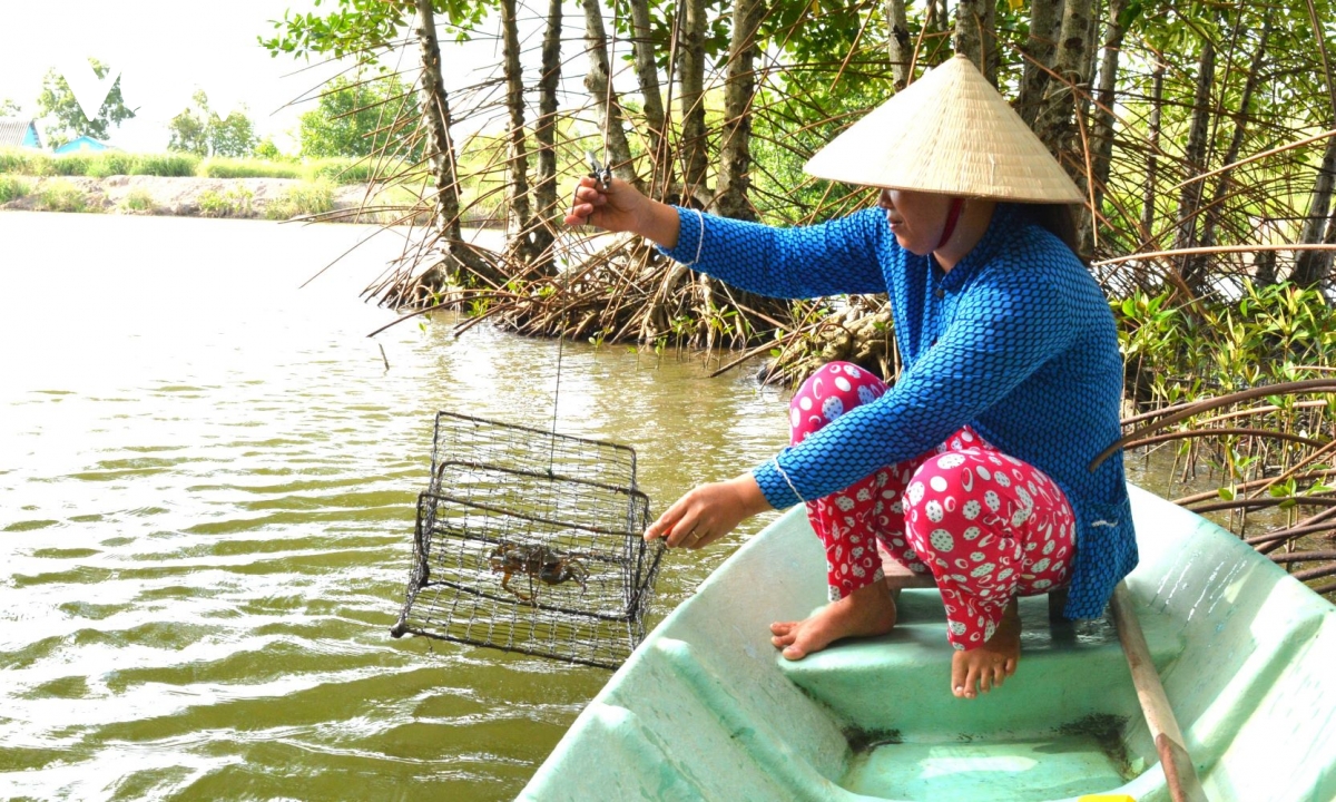 Cà Mau tổ chức Ngày hội Cua lần thứ 2