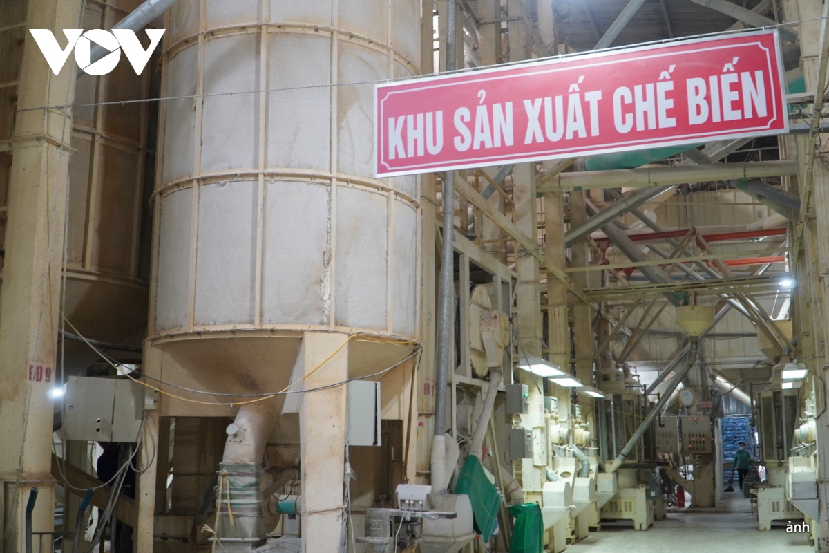 lien ket san xuat de xay dung thuong hieu gao hinh anh 3