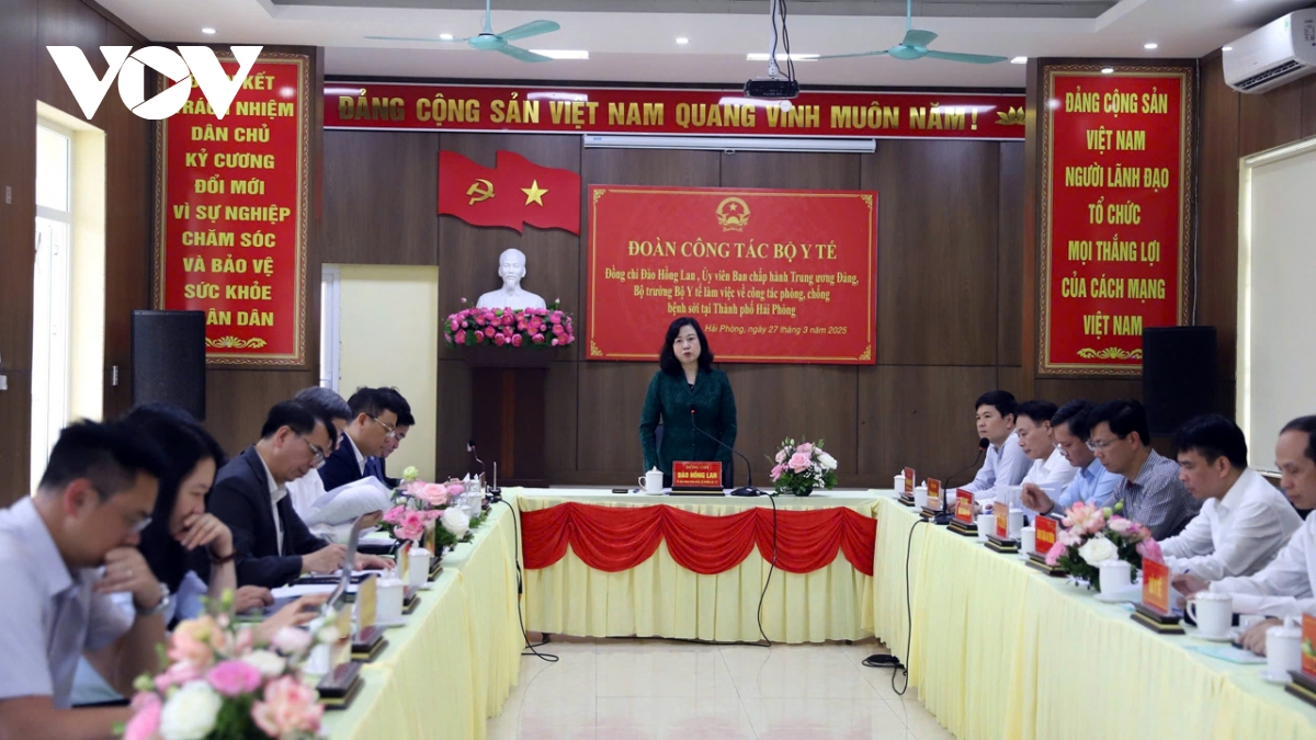 bo y te kiem tra cong tac phong chong benh soi tai tp hai phong hinh anh 1