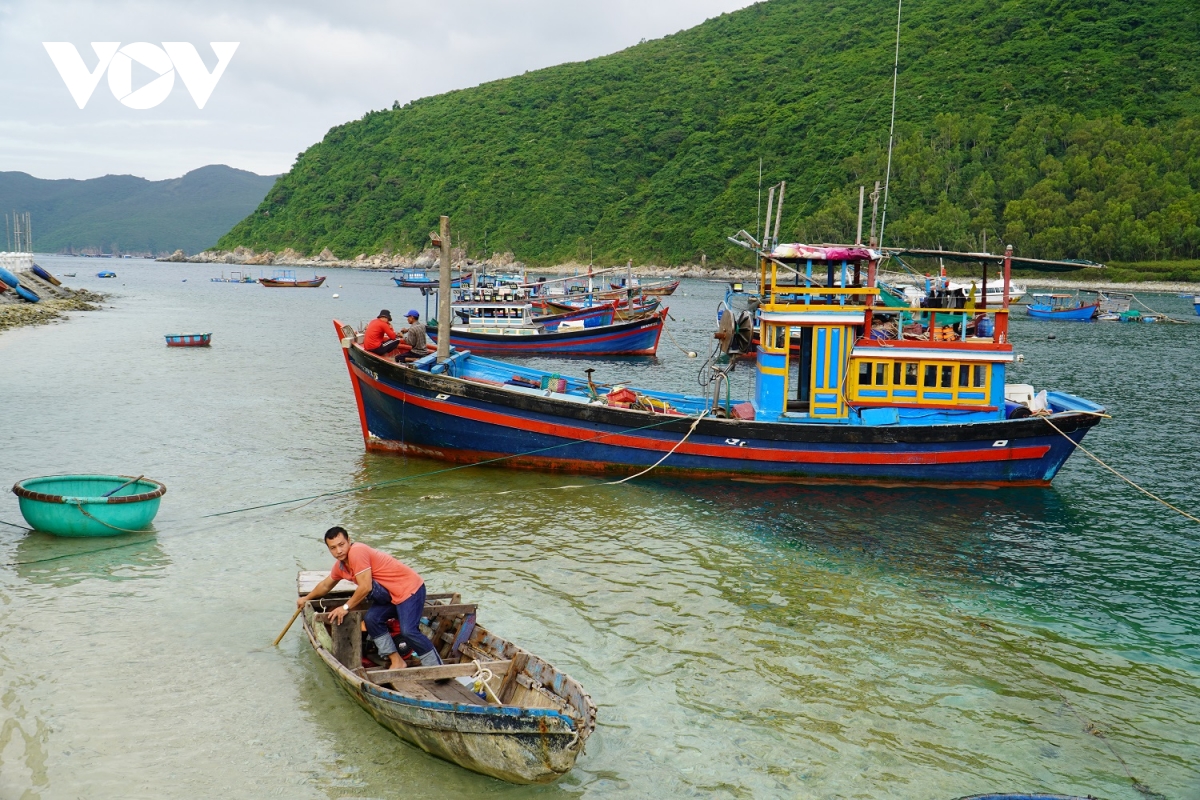 lang chai tren vinh nha trang phan dau don 45.000 khach du lich moi nam hinh anh 2