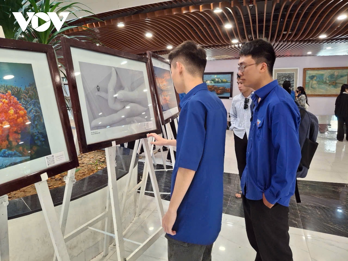 triển lãm Đà nẵng 50 năm - khát vọng vươn mình hình ảnh 2 trien lam Da nang 50 nam - khat vong vuon minh hinh anh 2