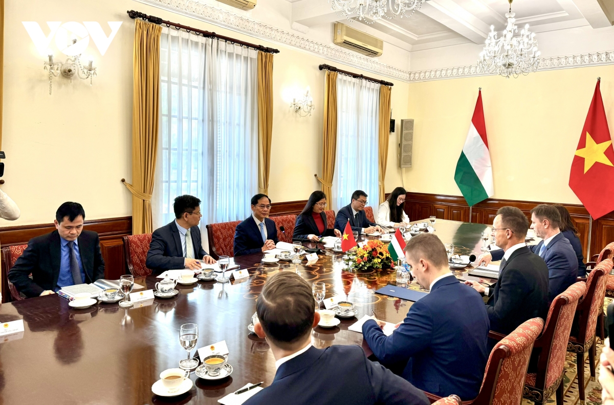 còn nhiều dư địa cho hợp tác song phương việt nam hungary hình ảnh 3 con nhieu du dia cho hop tac song phuong viet nam hungary hinh anh 3
