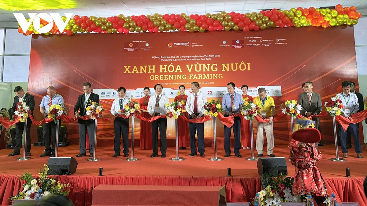 ngành nuôi tôm đang bước vào giai đoạn cách mạng xanh hình ảnh 1 nganh nuoi tom dang buoc vao giai doan cach mang xanh hinh anh 1