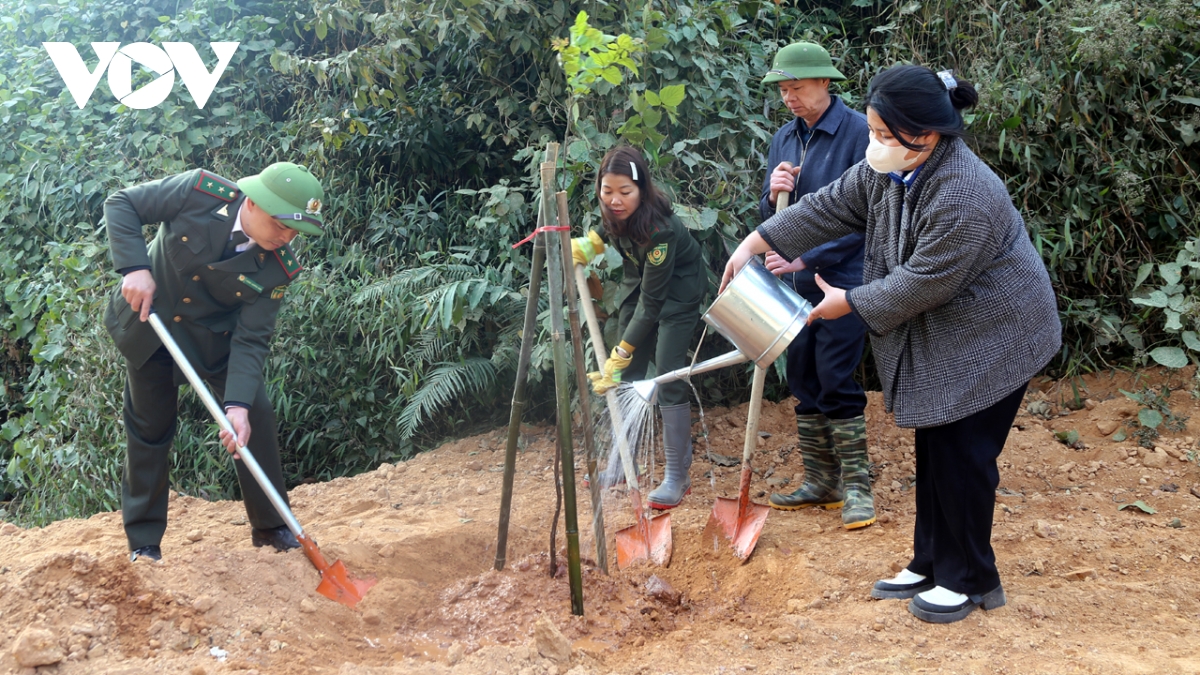 bac kan dat muc tieu trong moi 3.500ha rung trong nam 2025 hinh anh 1