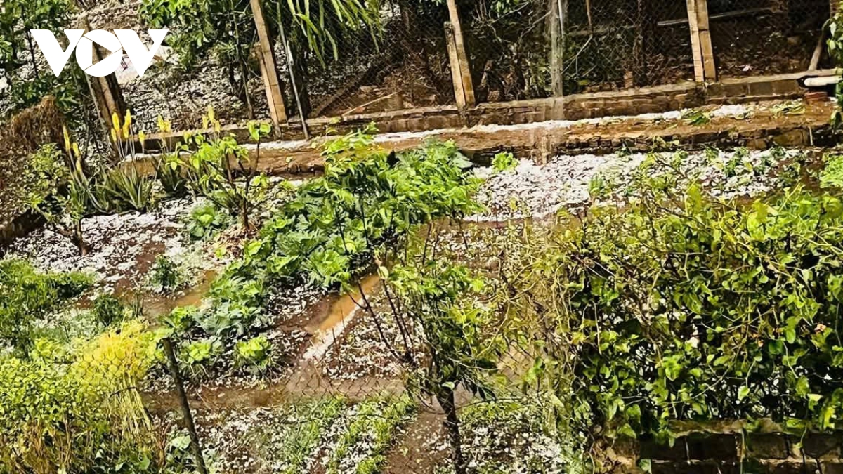 Ghi nhận thiệt hại do mưa đá tại Thuận Châu, Sơn La