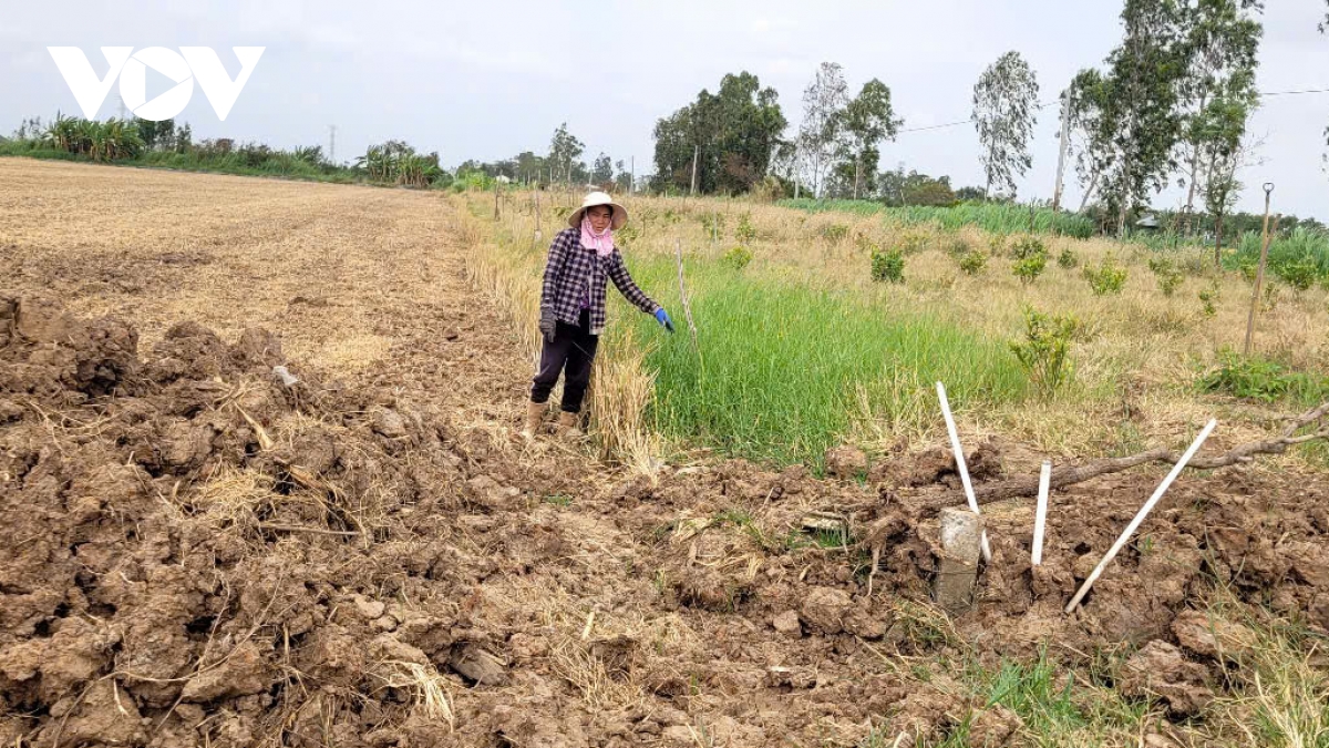 mua bán đất mặt ruộng ở xứ gò - cảnh báo lợi ít, hại nhiều hình ảnh 3 mua ban dat mat ruong o xu go - canh bao loi it, hai nhieu hinh anh 3