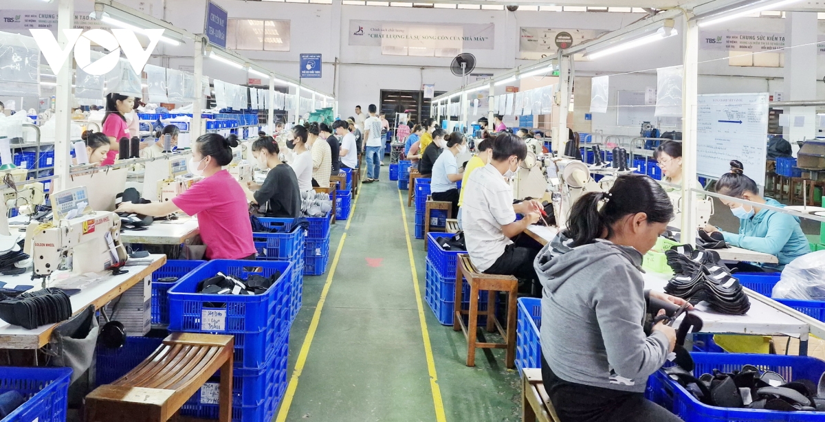 doanh nghiệp Đà nẵng tăng tốc tuyển dụng lao động để mở rộng sản xuất hình ảnh 1 doanh nghiep Da nang tang toc tuyen dung lao dong de mo rong san xuat hinh anh 1