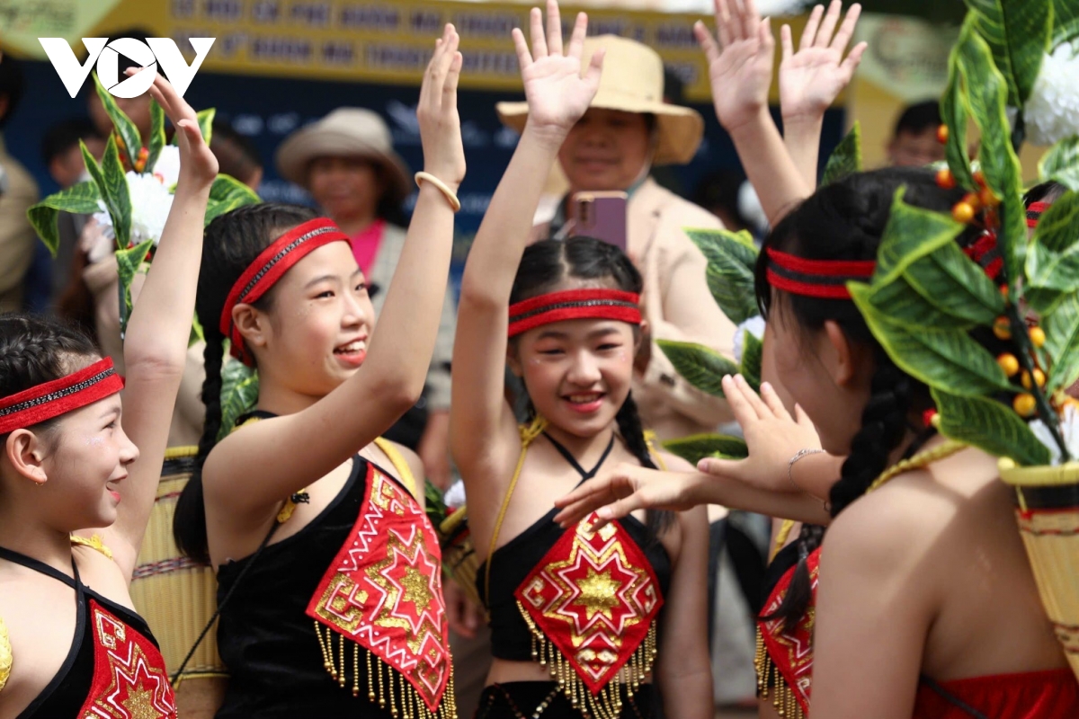 lễ hội đường phố rạng rỡ văn hoá cà phê buôn ma thuột hình ảnh 10 le hoi duong pho rang ro van hoa ca phe buon ma thuot hinh anh 10