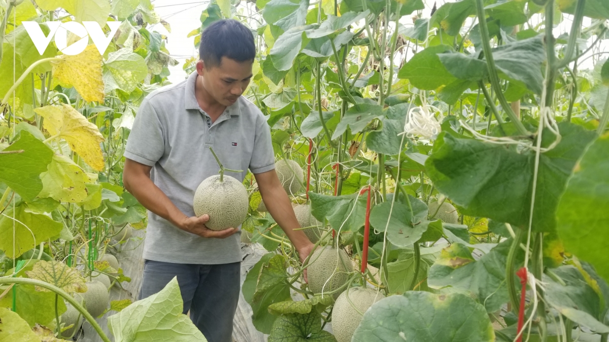 giữ chân người trẻ ở lại bản làng hình ảnh 2 giu chan nguoi tre o lai ban lang hinh anh 2