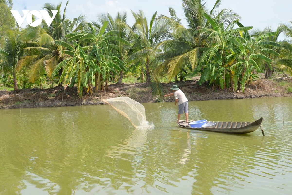 việt nam được đánh giá là quốc gia có công nghệ chế biến tôm hiện đại nhất hình ảnh 1 viet nam duoc danh gia la quoc gia co cong nghe che bien tom hien dai nhat hinh anh 1