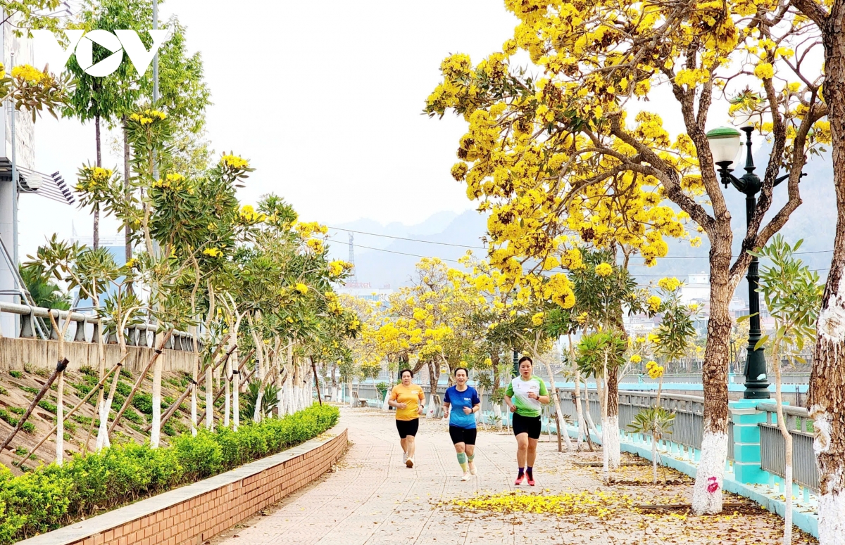 những người cao tuổi yêu thể thao nơi phố núi sơn la hình ảnh 6 nhung nguoi cao tuoi yeu the thao noi pho nui son la hinh anh 6