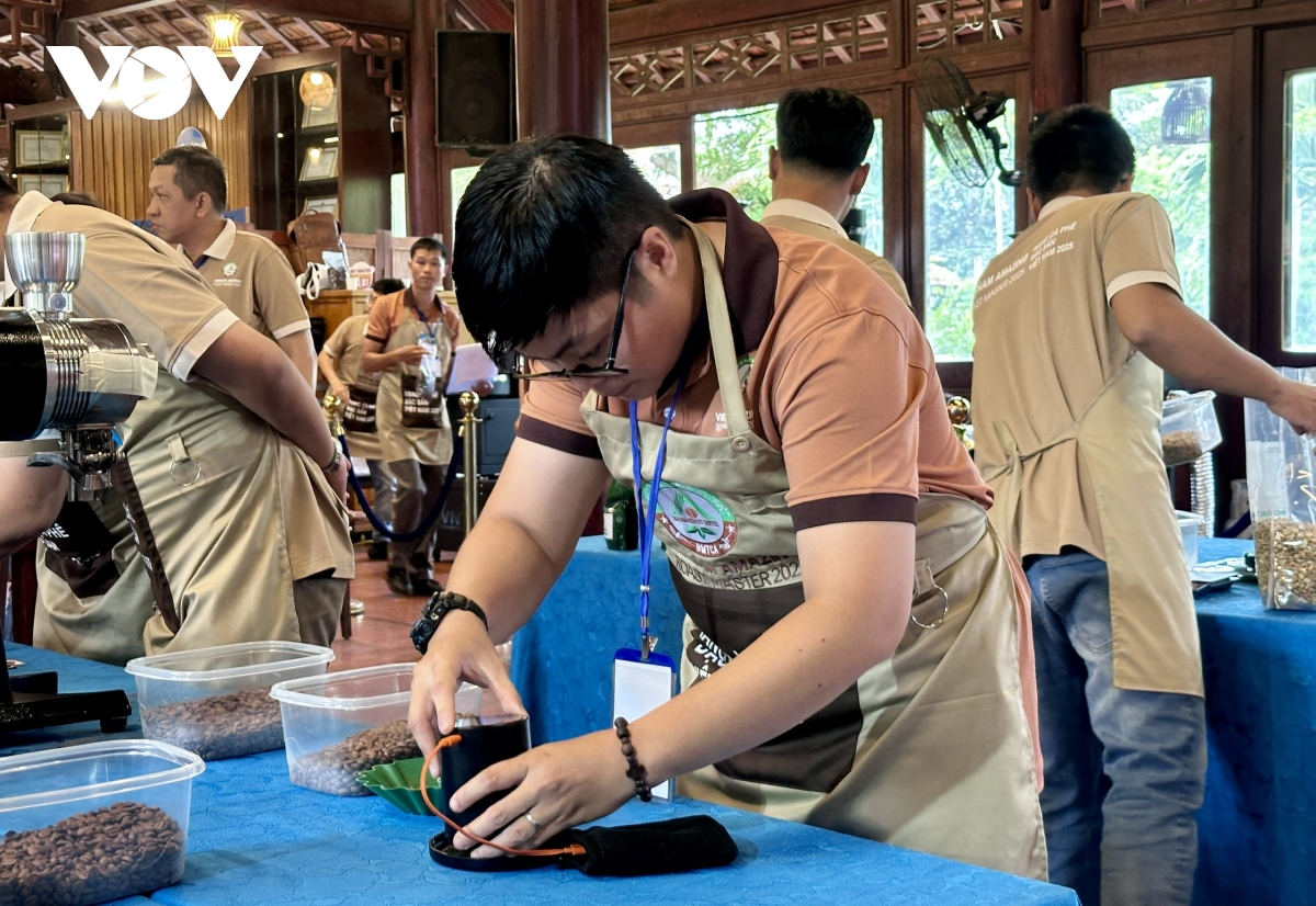 khai mạc cuộc thi rang cà phê Đặc sản việt nam năm 2025 hình ảnh 2 khai mac cuoc thi rang ca phe Dac san viet nam nam 2025 hinh anh 2
