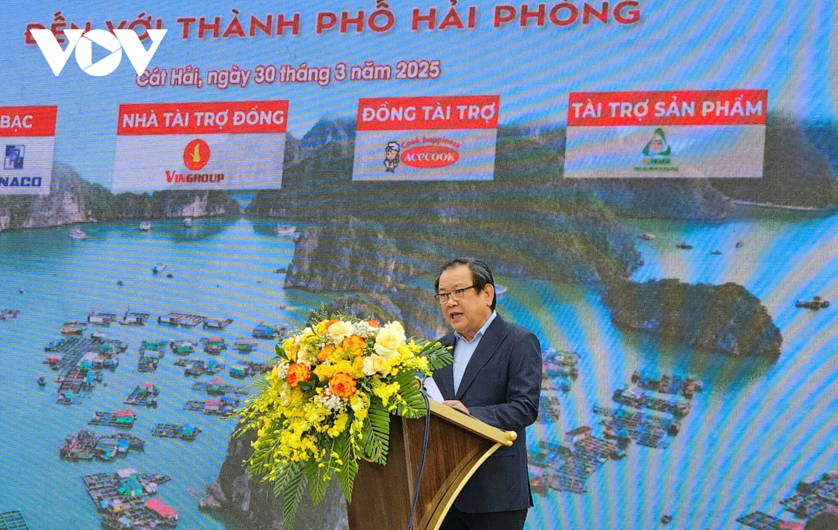  cung ngu dan thap sang den tren bien tai huyen dao cat hai hinh anh 1