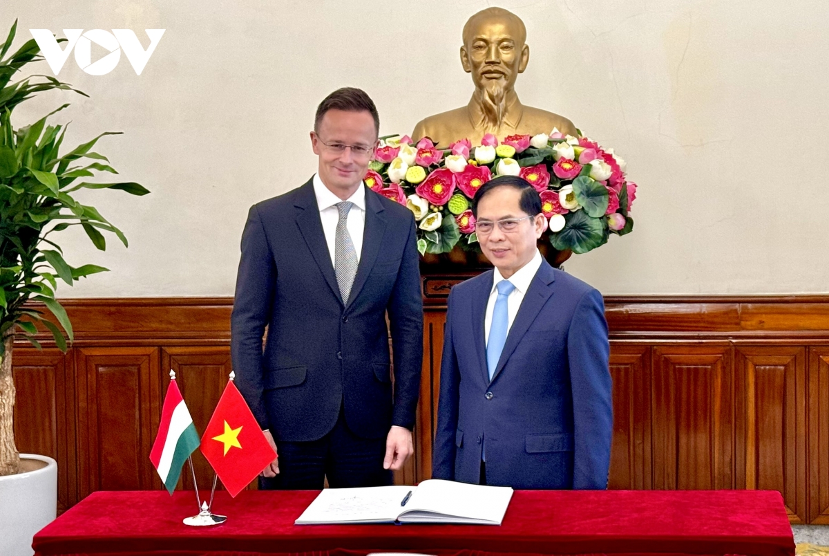 còn nhiều dư địa cho hợp tác song phương việt nam hungary hình ảnh 2 con nhieu du dia cho hop tac song phuong viet nam hungary hinh anh 2