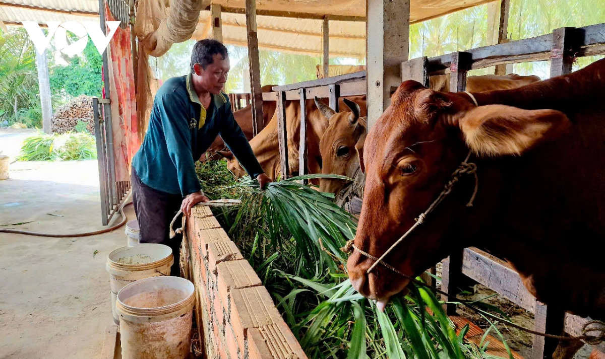 sóc trăng quan tâm phát triển đảng viên vùng đồng bào dân tộc khmer hình ảnh 2 soc trang quan tam phat trien dang vien vung dong bao dan toc khmer hinh anh 2