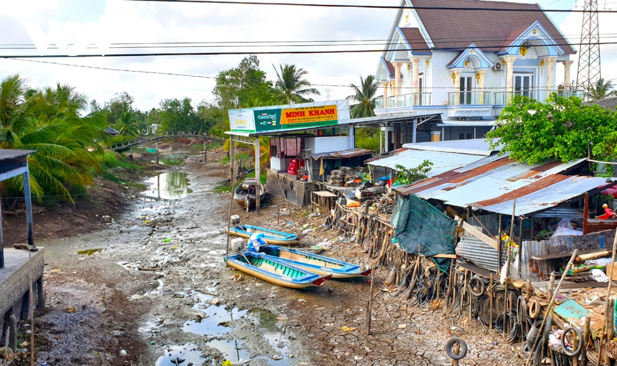 cà mau khắc phục cù sụt lún vùng ngọt trong mùa khô hình ảnh 2 ca mau khac phuc cu sut lun vung ngot trong mua kho hinh anh 2