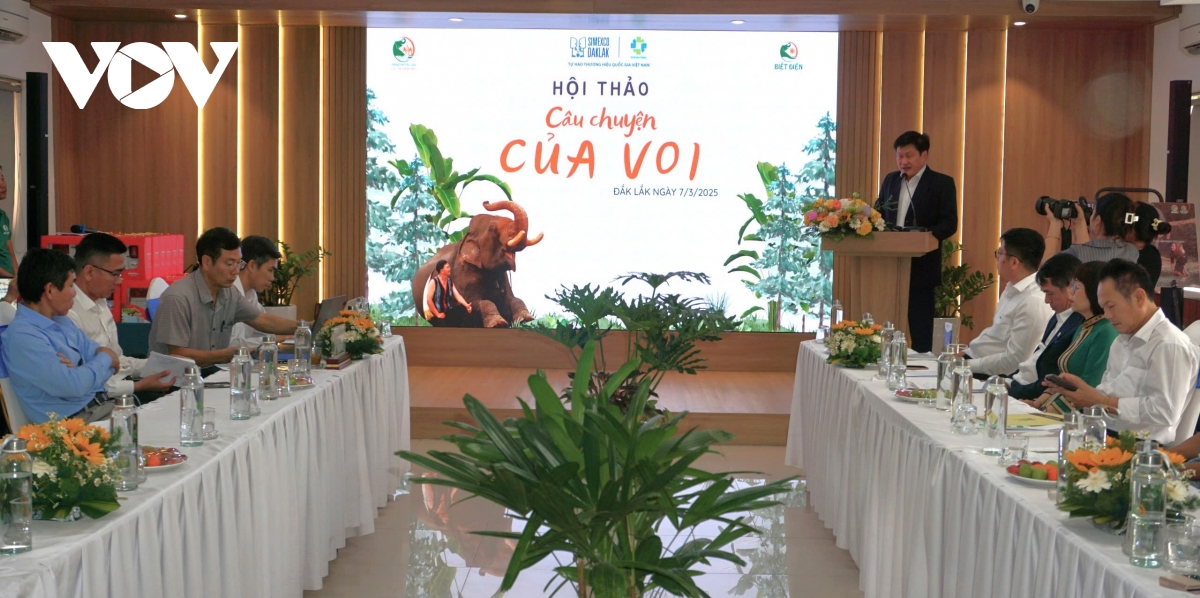 du lịch voi Đắk lắk ra sao sau khi chuyển hướng thân thiện hình ảnh 1 du lich voi Dak lak ra sao sau khi chuyen huong than thien hinh anh 1