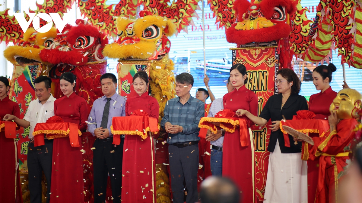 chính thức công bố tuyến tàu cao tốc tphcm - côn Đảo hình ảnh 4 chinh thuc cong bo tuyen tau cao toc tphcm - con Dao hinh anh 4