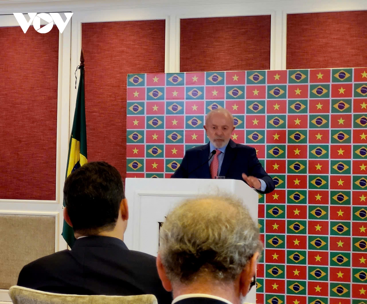 brazil cam kết làm cửa ngõ để việt nam vào thị trường mecosur hình ảnh 1 brazil cam ket lam cua ngo de viet nam vao thi truong mecosur hinh anh 1