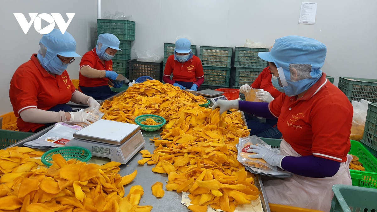 khoi thong cac diem nghen, tao cu hich cho kinh te tu nhan hinh anh 1