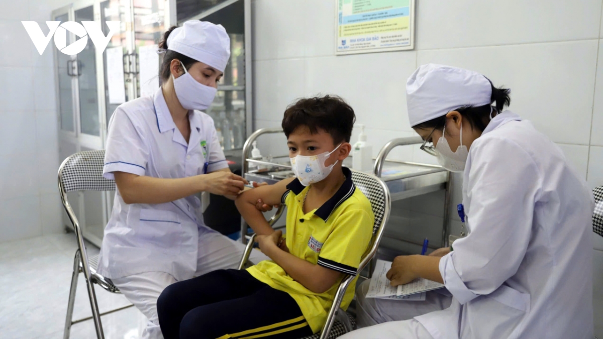 bo y te kiem tra cong tac phong chong benh soi tai tp hai phong hinh anh 3