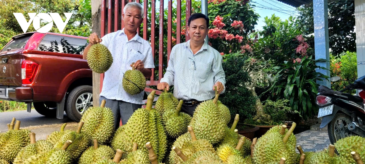 tien giang-ben tre quyet tam dat tang truong tu 8 tro len hinh anh 2