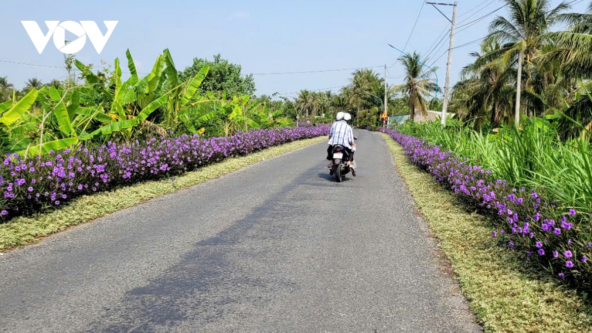 vung dat chin song vuon minh khi ha tang giao thong phat trien hinh anh 3