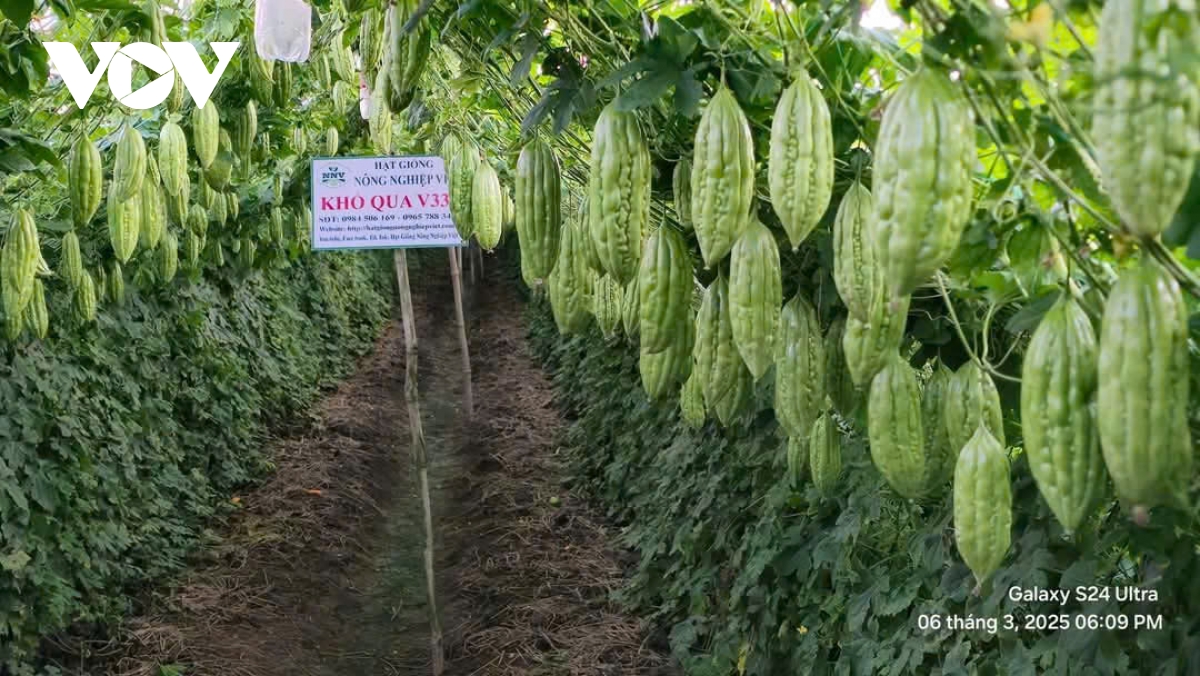 Nhiều khu vực ở Tiền Giang “thoát” hạn mặn, sản xuất, đời sống người dân ổn định