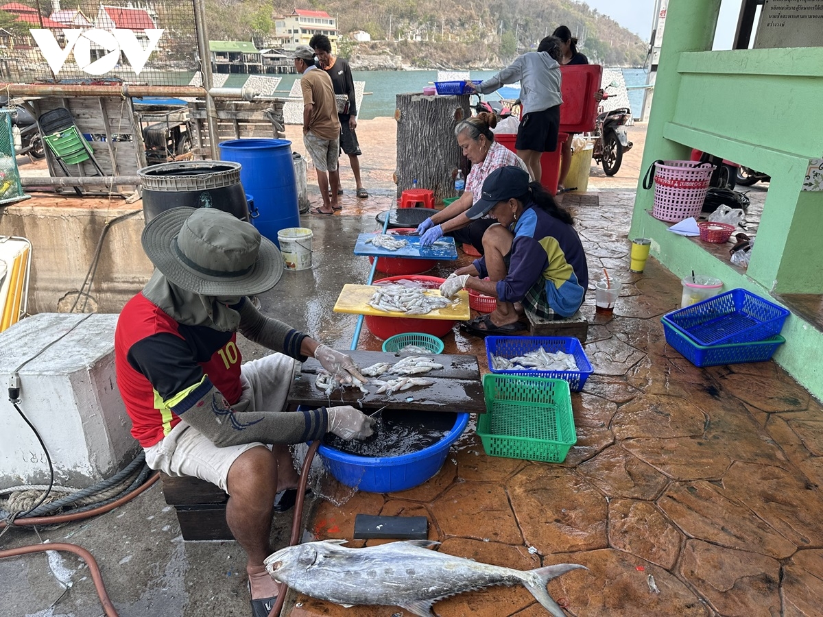 thái lan khôi phục tài nguyên và hệ sinh thái biển để ổn định sinh kế bền vững hình ảnh 7 thai lan khoi phuc tai nguyen va he sinh thai bien de on dinh sinh ke ben vung hinh anh 7