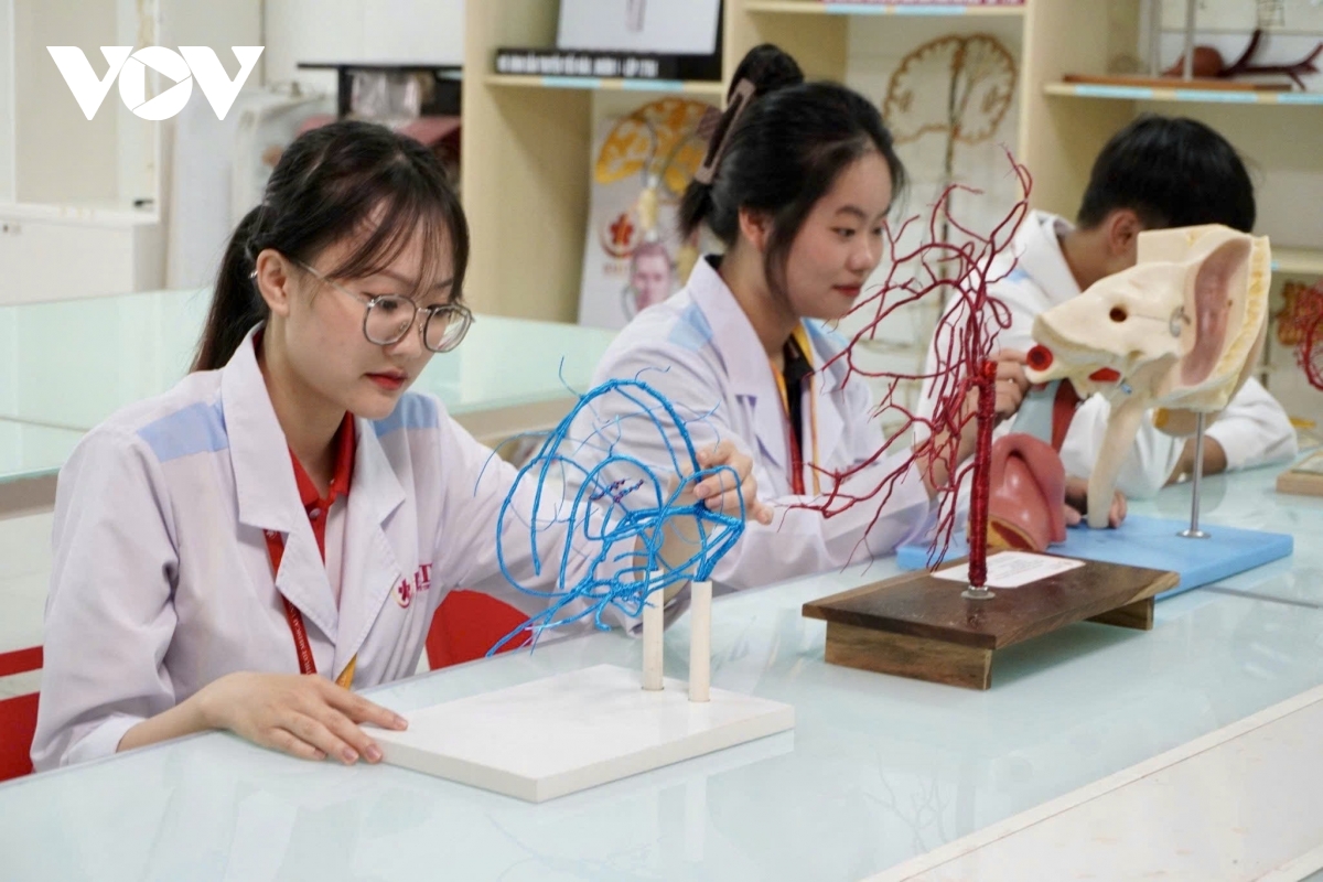 Đắk lắk với bài toán nâng cao chất lượng nguồn nhân lực hình ảnh 2 Dak lak voi bai toan nang cao chat luong nguon nhan luc hinh anh 2