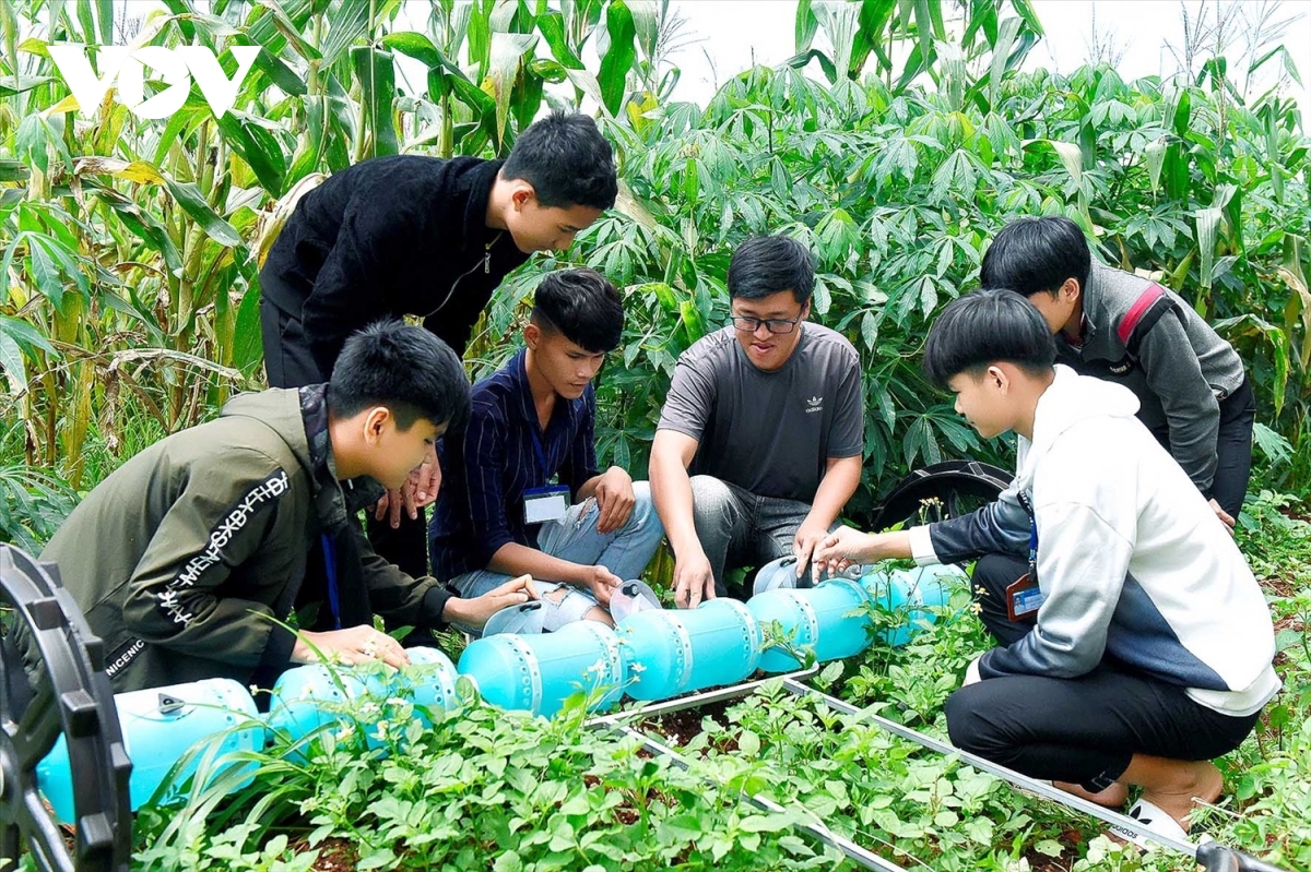 Đắk lắk với bài toán nâng cao chất lượng nguồn nhân lực hình ảnh 4 Dak lak voi bai toan nang cao chat luong nguon nhan luc hinh anh 4