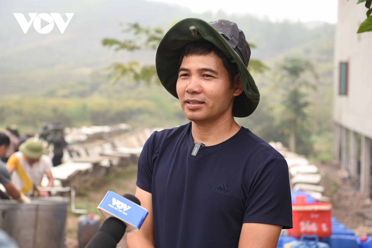 mật ong hoa vải ở bắc giang được mùa, được giá hình ảnh 5 mat ong hoa vai o bac giang duoc mua, duoc gia hinh anh 5