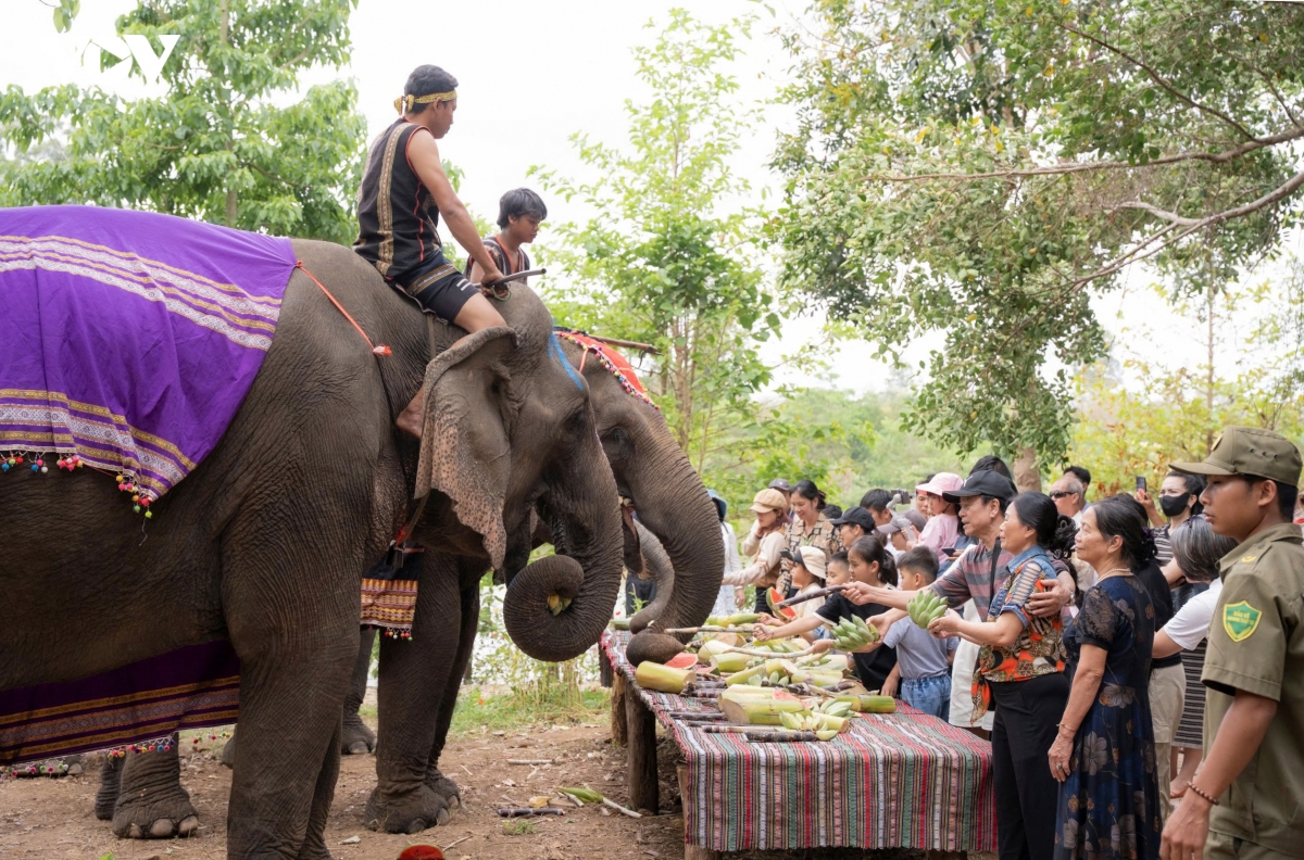 co hoi trai nghiem ngam buon Don tu tren cao trong dip nghi le 30 4-1 5 hinh anh 2