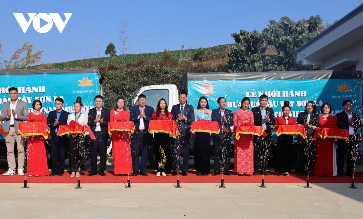 sơn la chủ động nhiều phương án xúc tiến tiêu thụ nông sản hình ảnh 1 son la chu dong nhieu phuong an xuc tien tieu thu nong san hinh anh 1