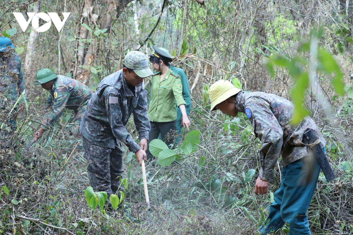 sơn la tăng cường bảo vệ rừng trong những ngày thời tiết hanh khô hình ảnh 2 son la tang cuong bao ve rung trong nhung ngay thoi tiet hanh kho hinh anh 2