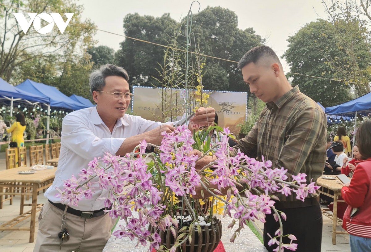 vẻ đẹp quý phái của lan vũ nữ mật ngọt giành giải nhất tại lễ hội Đền hùng 2025 hình ảnh 6 ve dep quy phai cua lan vu nu mat ngot gianh giai nhat tai le hoi Den hung 2025 hinh anh 6