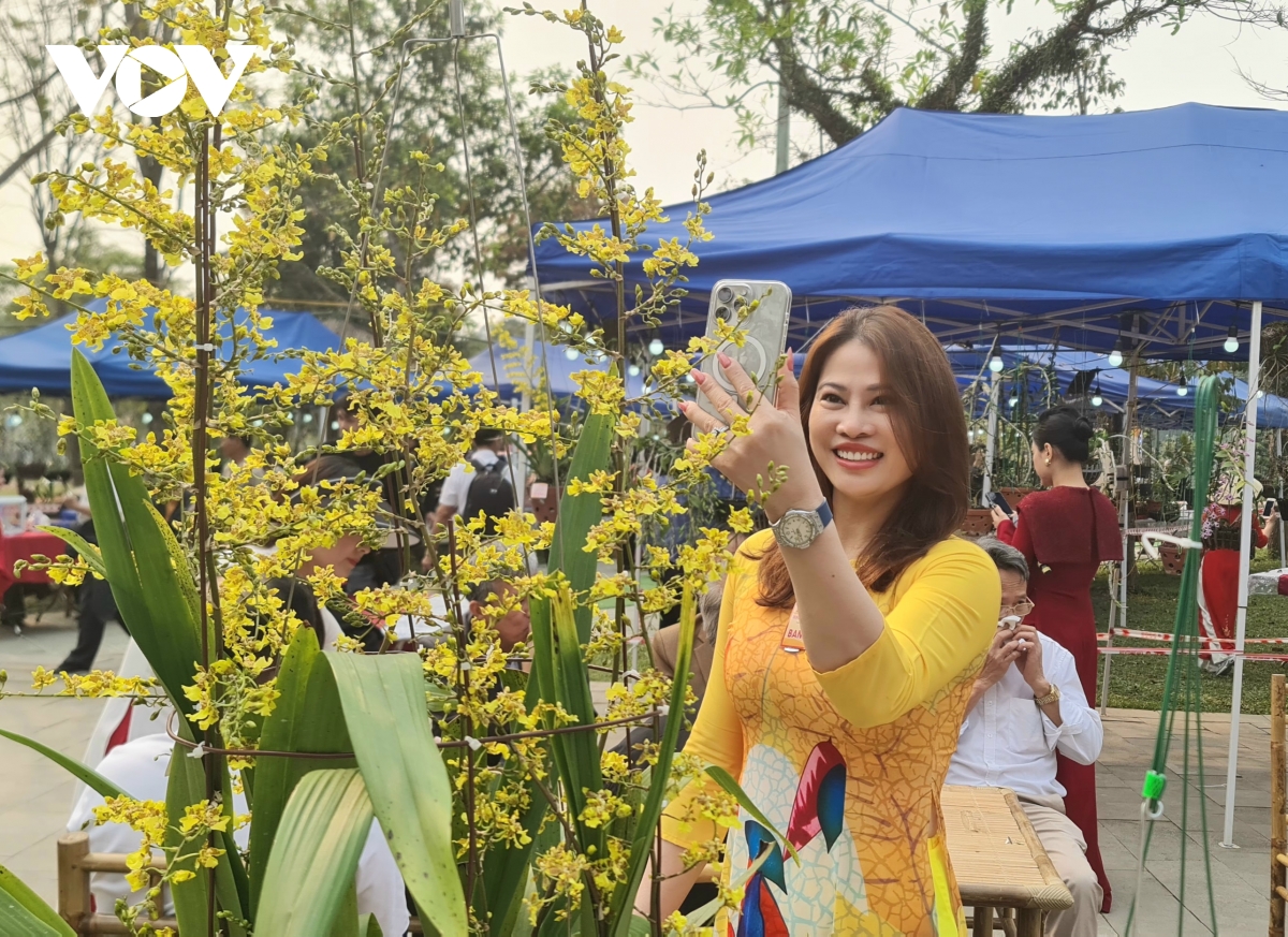 Vẻ đẹp quý phái của lan "Vũ nữ Mật ngọt" giành giải nhất tại Lễ hội Đền Hùng 2025