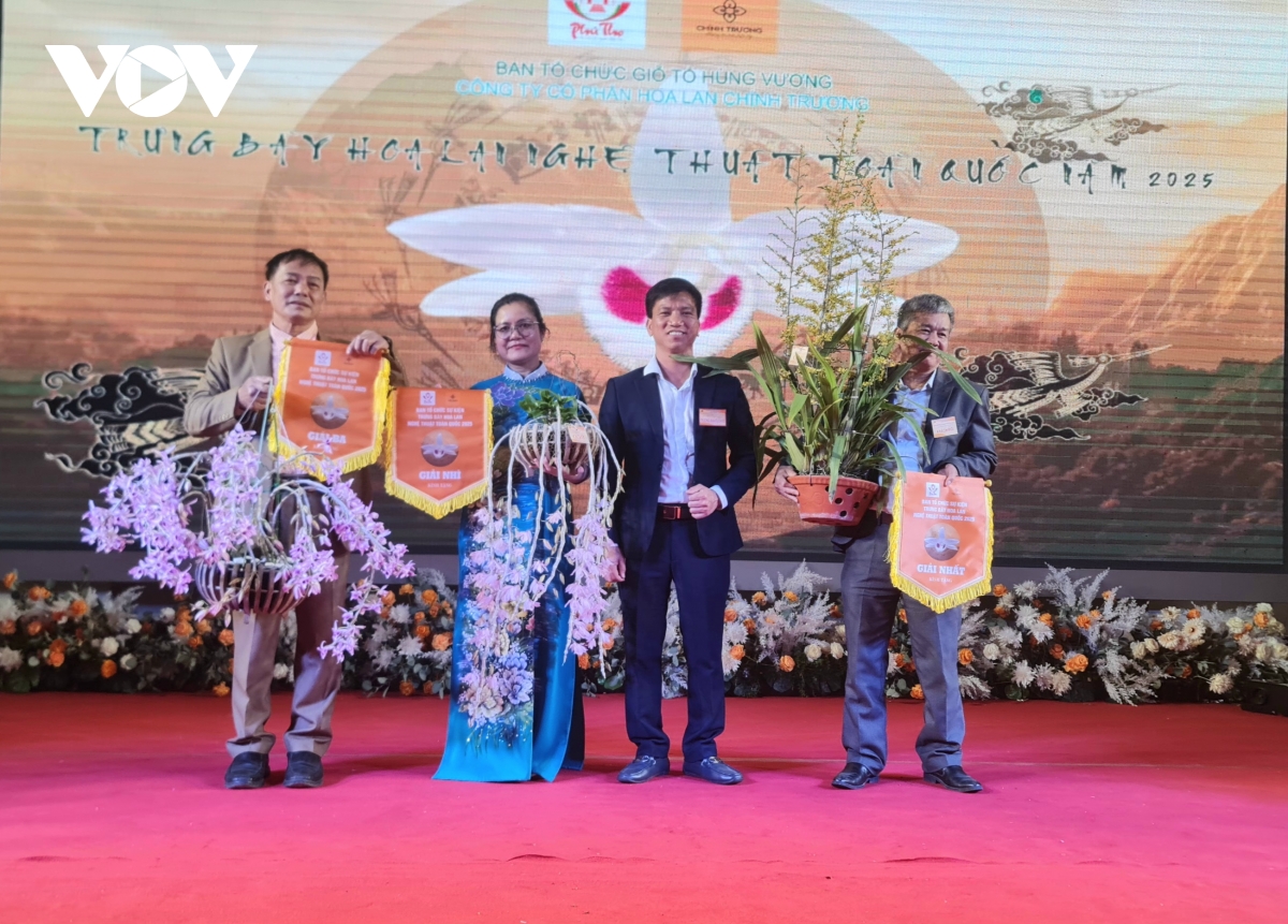 vẻ đẹp quý phái của lan vũ nữ mật ngọt giành giải nhất tại lễ hội Đền hùng 2025 hình ảnh 1 ve dep quy phai cua lan vu nu mat ngot gianh giai nhat tai le hoi Den hung 2025 hinh anh 1