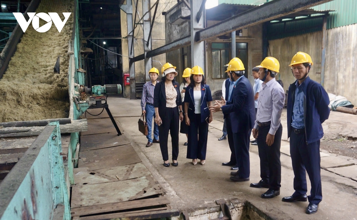 Đắk lắk với bài toán nâng cao chất lượng nguồn nhân lực hình ảnh 1 Dak lak voi bai toan nang cao chat luong nguon nhan luc hinh anh 1